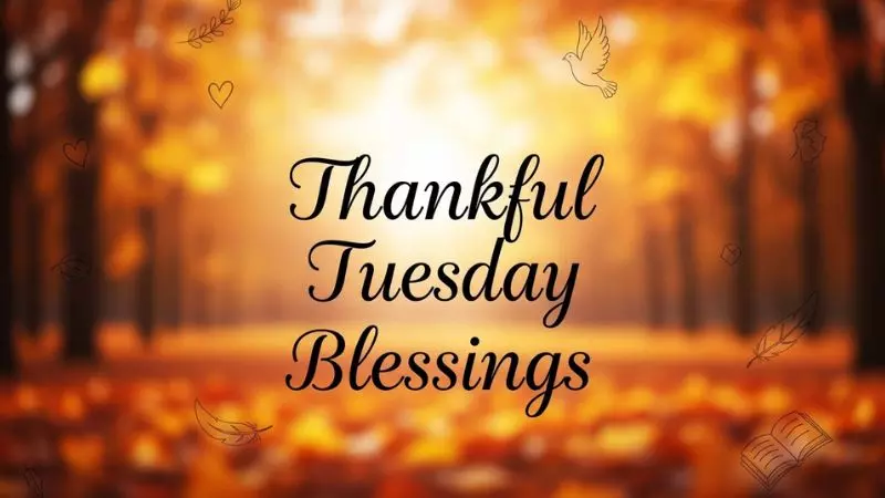 Thankful Tuesday Blessings
