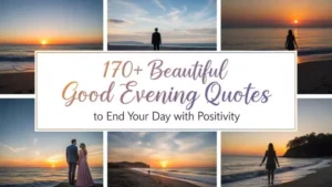 170+ Beautiful Good Evening Quotes to End Your Day with Positivity